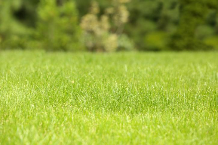 Image for Scientific Turf Inc. with ID of: 3262112