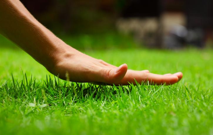 Image for Scientific Turf Inc. with ID of: 3262115