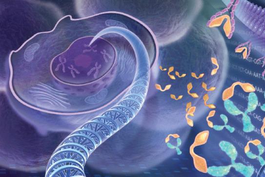 Image for Poly Adenosine Diphosphate Ribose Polymerase Market to Perceive Substantial Growth During 2018–2026 with ID of: 3263426