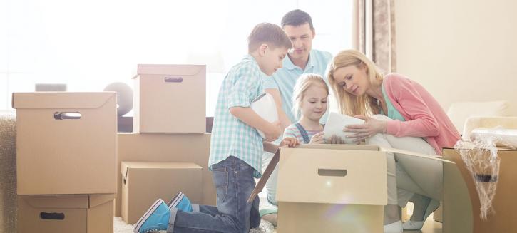 Image for Nation Removalists with ID of: 3264144