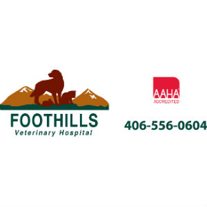 Image for Foothills Veterinary Hospital with ID of: 3264942