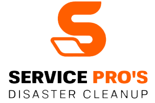 Image for Service Pros NY with ID of: 3265745