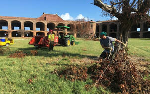 Image for St Joseph’s Tree Service with ID of: 3265926