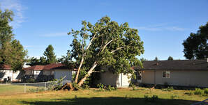 Image for St Joseph’s Tree Service with ID of: 3265927