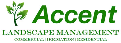 Image for Accent Landscape Management with ID of: 3266291