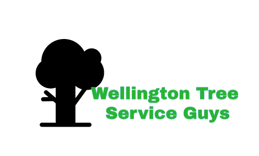 Image for Wellington Tree Service Guys with ID of: 3269134