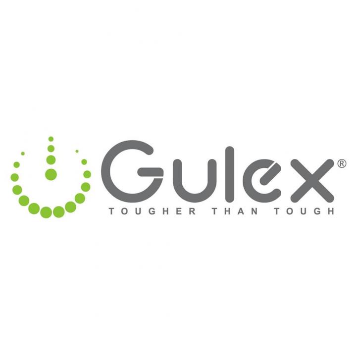 Image for Gulex Digital Ltd with ID of: 3269192