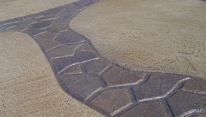 Image for Goonst Hardscapes with ID of: 3269513