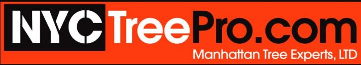 Image for Manhattan Tree Experts LTD. with ID of: 3270126