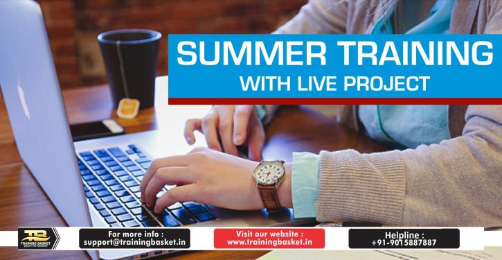 Image for 2019 - Summer Training in Noida | Training Basket with ID of: 3270827