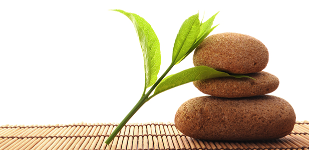 Image for Body Massage Spa Gurgaon with ID of: 3271807