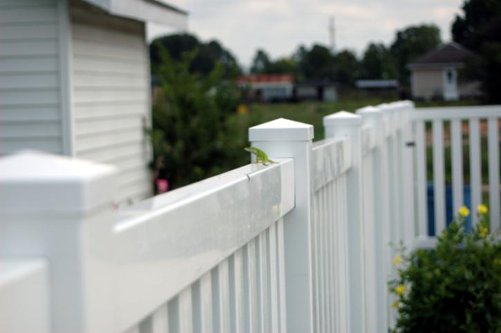 Image for Texas Lone Star Fence with ID of: 3273389