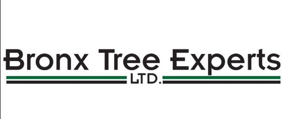 Image for Bronx Tree Experts LTD with ID of: 3273748