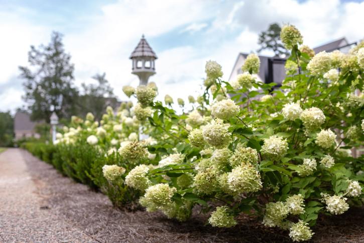 Image for Origin Landscape Architecture with ID of: 3277735
