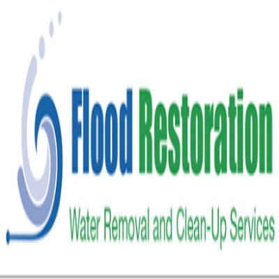 Image for Flood Restoration with ID of: 3279293