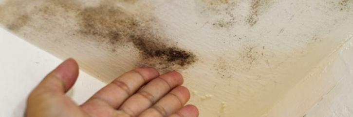 Image for Boynton Beach Public Adjuster with ID of: 3280068