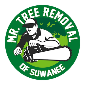 Image for Mr. Tree Removal of Suwanee with ID of: 3280480