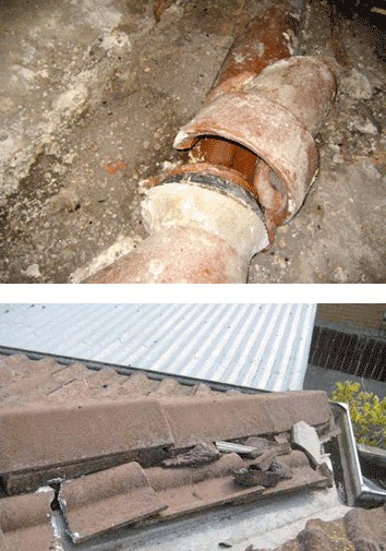 Image for Elim Property Inspections with ID of: 3281350