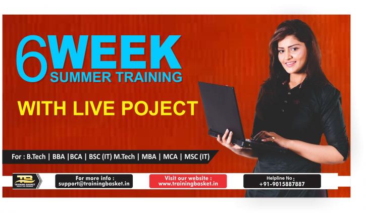 Image for 2019-Summer Training In Noida | Training Basket with ID of: 3281399