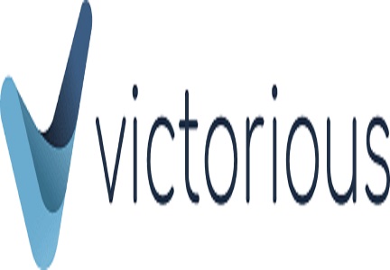 Image for Victorious SEO with ID of: 3281526