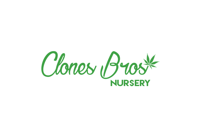 Image for Clones Bros Nursery with ID of: 3282273