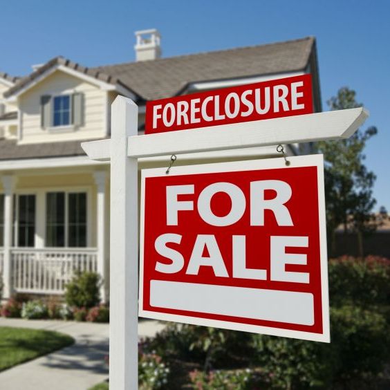 Image for Darcy Diamond Realtor with ID of: 3282440