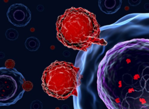 Image for Cell Expansion Market Current Trends, Research Analysis And Statistics Released In Latest Report with ID of: 3282521