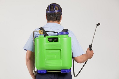Image for Rogers Pest Control with ID of: 3282972