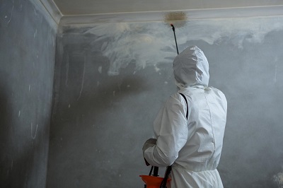 Image for Rogers Pest Control with ID of: 3282973