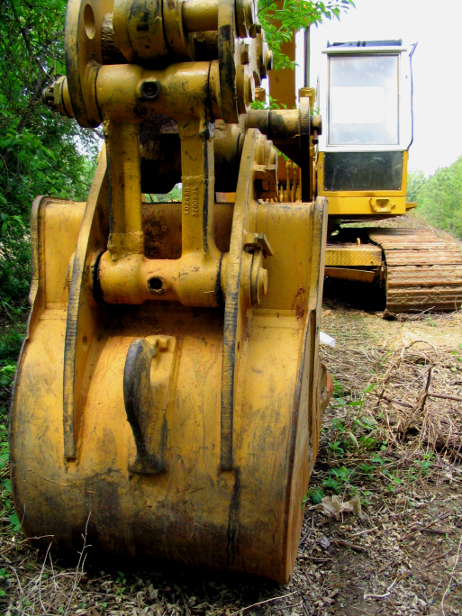 Image for Anglo American Services with ID of: 3287594