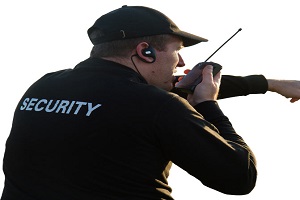 Image for What is Dangerous Dog Insurance? with ID of: 3288665