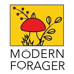 Image for Modern Forager with ID of: 3288668