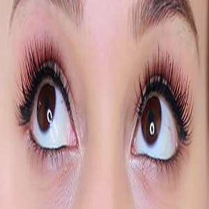 Image for Honolulu Eyelash Extensions with ID of: 3288794