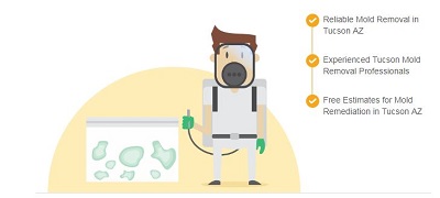 Image for ALL US Mold Testing & Inspection Tucson - Mold Removal & Remediation with ID of: 3290285