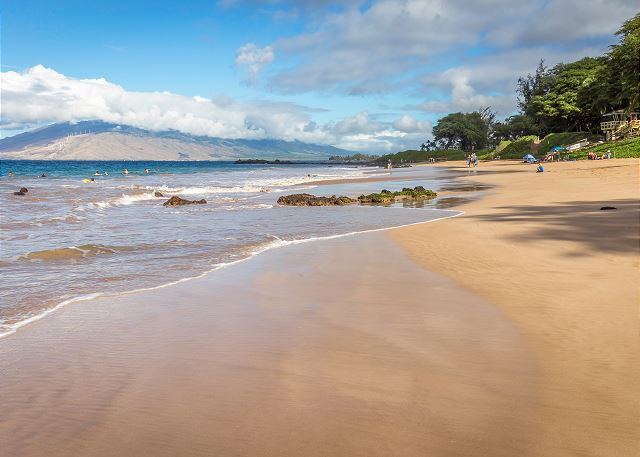 Image for PMI Maui with ID of: 3290603