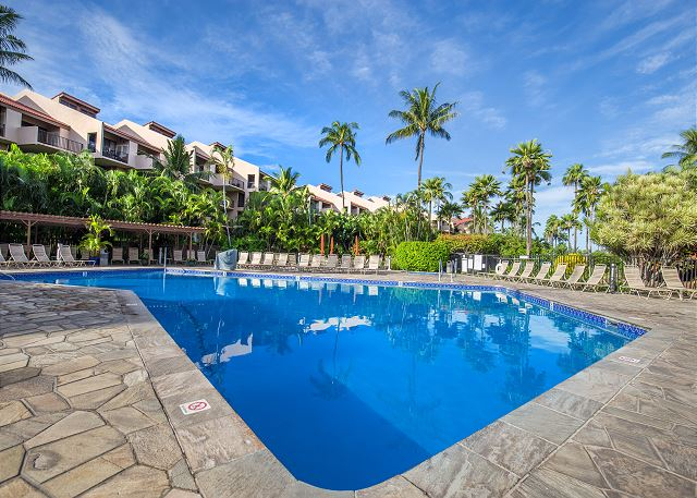 Image for PMI Maui with ID of: 3290605