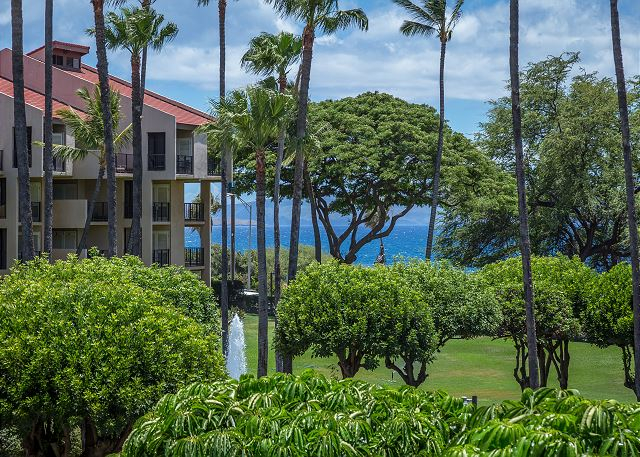 Image for PMI Maui with ID of: 3290611