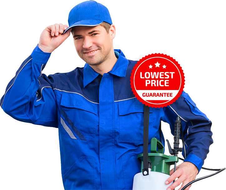 Image for Rapid Building Inspections Sunshine Coast with ID of: 3292015