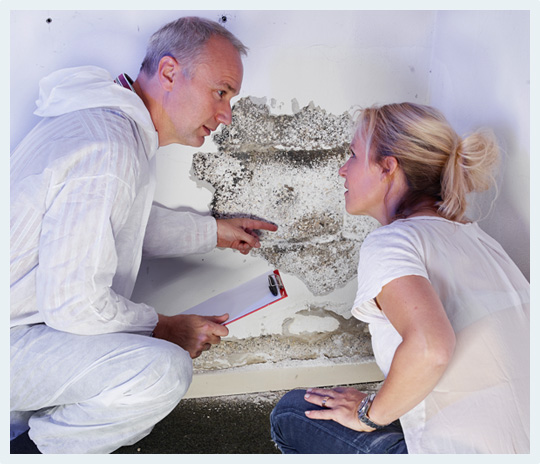 Image for Rapid Building Inspections Sydney with ID of: 3292286