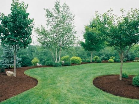 Image for Extreme Pros Outdoor Services with ID of: 3293734