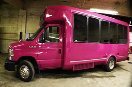 Image for Atlantic City Party Buses with ID of: 3295292
