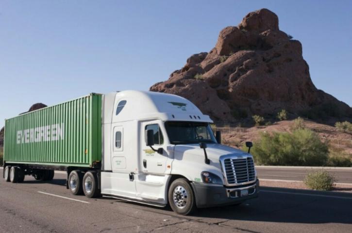 Image for Duncan and Sons Lines, Inc. with ID of: 3295446