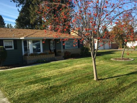 Image for Spokane's Finest Lawns with ID of: 3295632