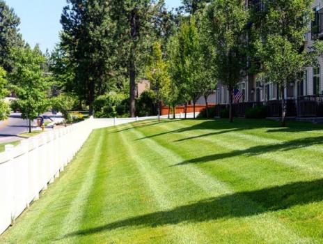 Image for Spokane's Finest Lawns with ID of: 3295633