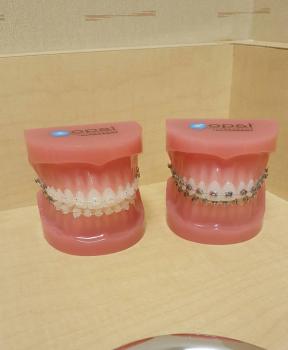 Image for ABC Pediatric Dentistry and Orthodontics with ID of: 3296166