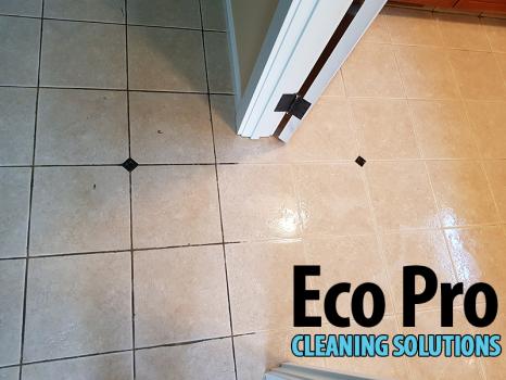 Image for Eco Pro Cleaning Solutions with ID of: 3297751