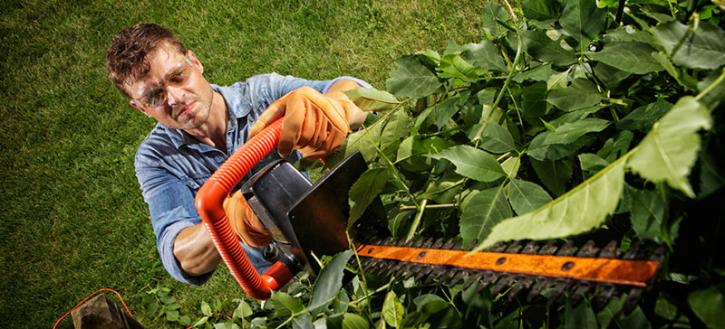 Image for Austin A-1 Tree Service with ID of: 3298743
