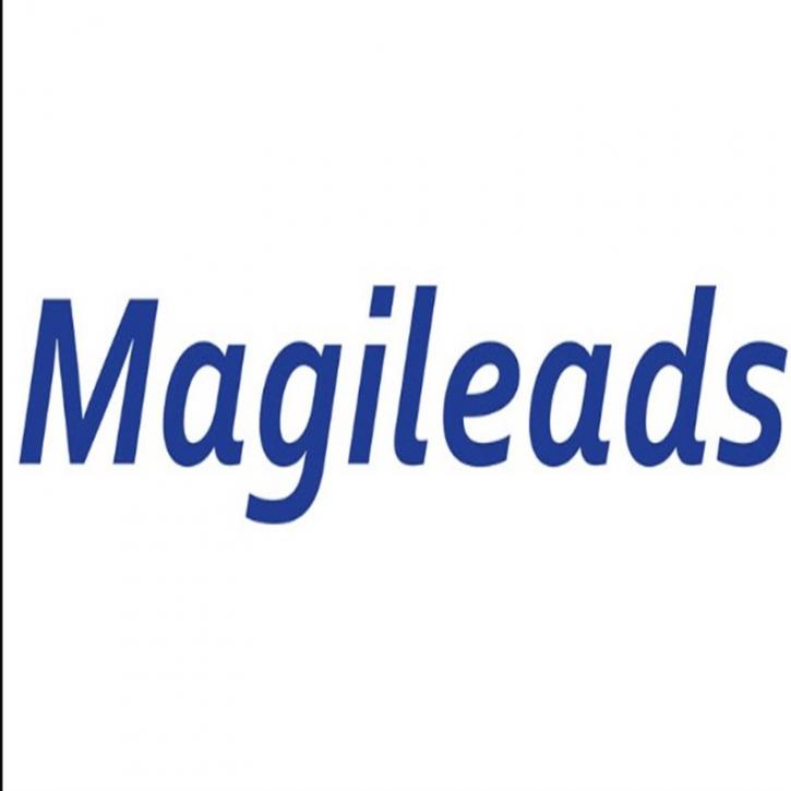Image for MagiLeads with ID of: 3299405