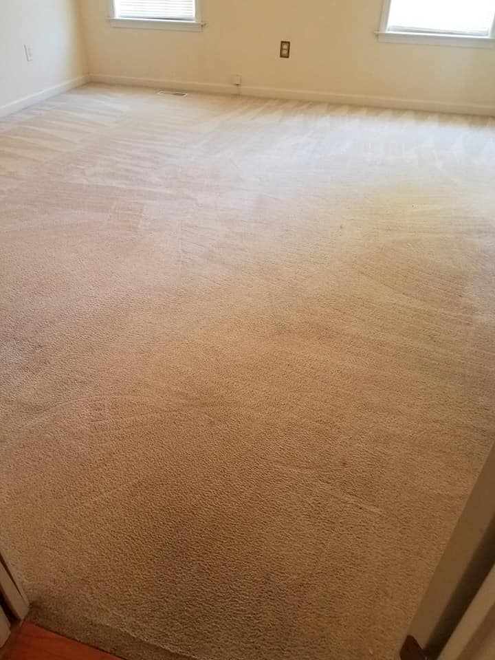 Image for Tri-County Carpet Cleaning with ID of: 3299762