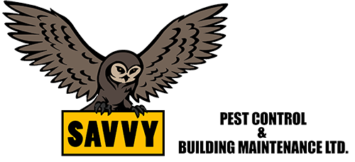 Image for Savvy Pest Control / Exterminators in Edmonton with ID of: 3300422